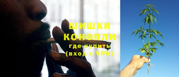 ПСИЛОЦИБИНОВЫЕ ГРИБЫ Майский